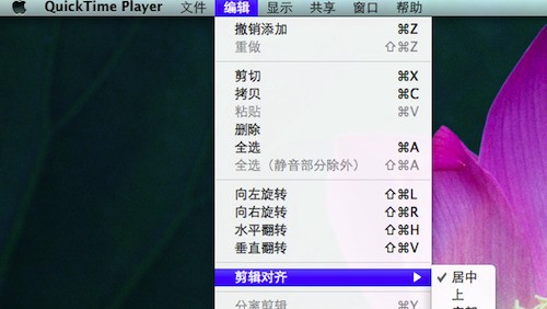 苹果视频播放器(Apple QuickTime)