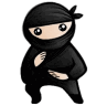 System Ninja