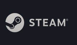 Steam