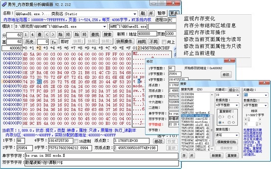 勇芳内存数据分析编辑器