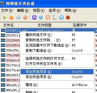 IE缓存文件提取器