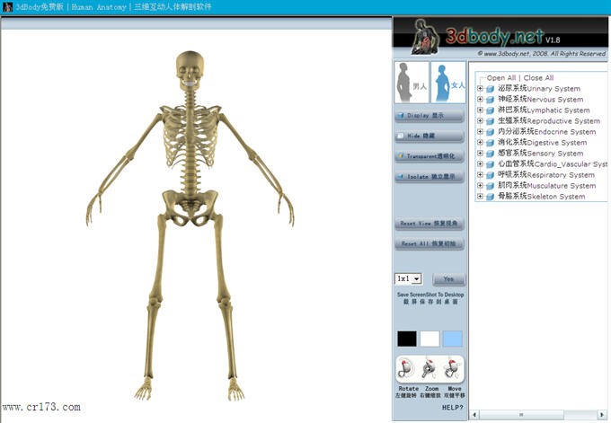 3d人体解剖软件