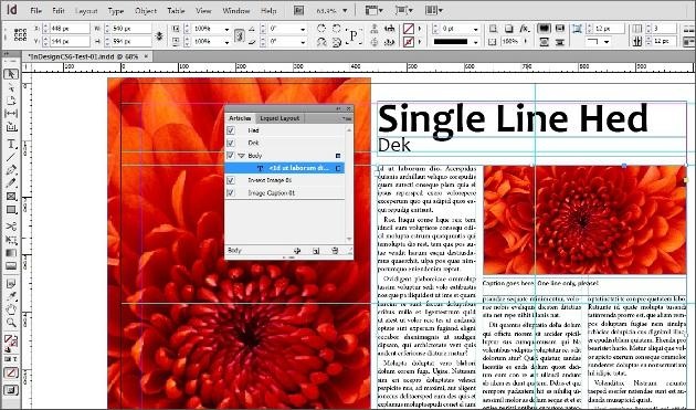 Adobe InDesign CS6