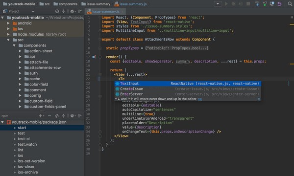 JetBrains WebStorm(前端开发软件)