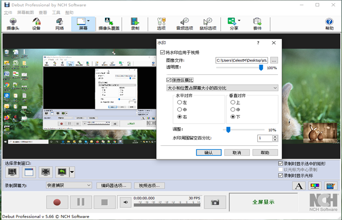 NCH Debut视频录制和屏幕捕捉截图软件